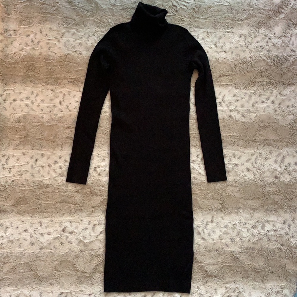 Express Knit Turtleneck Dress